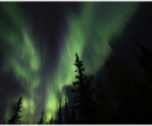 aboriginal aurora dancing aurora