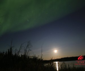 Good-aurora-borealis-in-Yellowknife