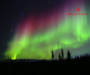 Multi-color-aurora-in-yellowknife-Yellowknife-VacationsJPG