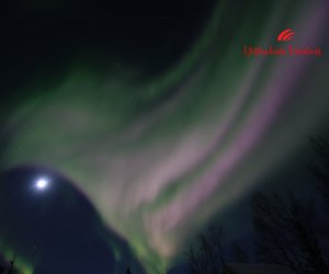 Purple-aurora-borealis-Yellowknife-Vacations