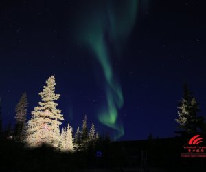 Yellowknife-Vacations-Purple-Lights